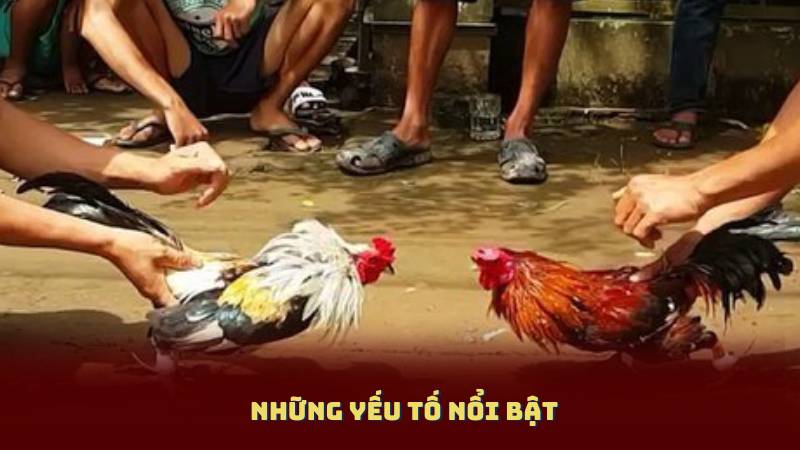 Những yếu tố nổi bật